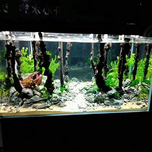 emours Decoración de reptiles de bosque natural rama terrario de madera acuario adorno de pecera, diámetro (0,2 – 1 cm) 10 unidades