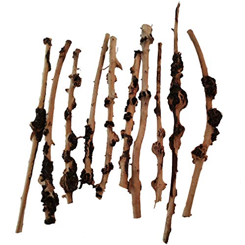 emours Decoración de reptiles de bosque natural rama terrario de madera acuario adorno de pecera, diámetro (0,2 – 1 cm) 10 unidades
