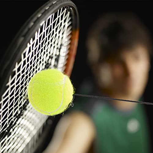 Entrenador de tenis Base Rebounder Ball: 1 Set Entrenador de Entrenamiento Baseboard Tenis Herramienta de Entrenamiento Equipo de Práctica de Tenis para Niños Adultos Principiantes