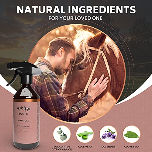 EQUEO Spray Repelente Moscas Caballos - Antimoscas para Caballos con Ingredientes Naturales - Anti Mosquitos Caballos con Efecto Hidratante y Duradero - Alternativa a Mosqueros para Caballos, 500ml