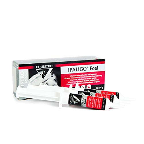 Equistro IPALIGO foal - Bote para orales (3 unidades, 14 g)