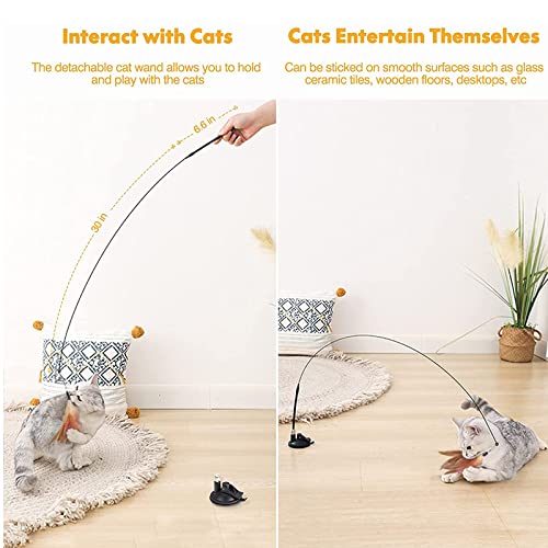ERMIC 5 Piezas de Gato de Gato, Juguete de Gato de Gato, Juguete, Juguete de Gato Interactivo con súper Ventosa, reemplazos de Plumas de Ventosa, Gato, Primavera