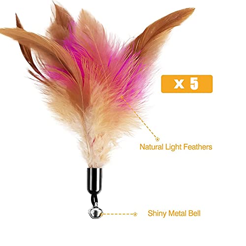ERMIC 5 Piezas de Gato de Gato, Juguete de Gato de Gato, Juguete, Juguete de Gato Interactivo con súper Ventosa, reemplazos de Plumas de Ventosa, Gato, Primavera