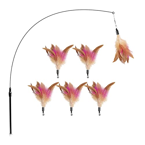 ERMIC 5 Piezas de Gato de Gato, Juguete de Gato de Gato, Juguete, Juguete de Gato Interactivo con súper Ventosa, reemplazos de Plumas de Ventosa, Gato, Primavera