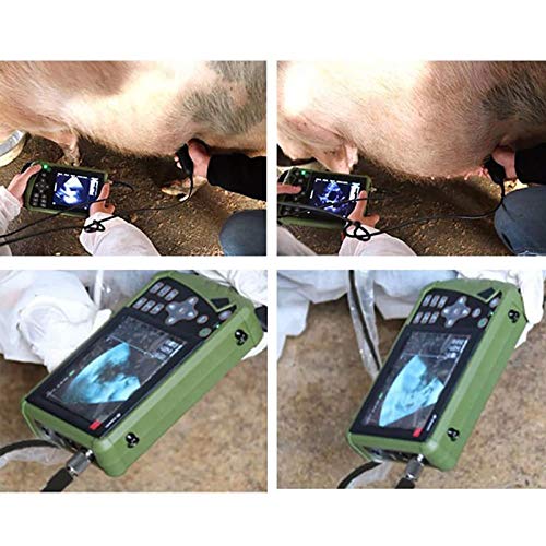 Escáner Portátil De Embarazo Veterinario Con Sonda Convexa De 3,5 Mhz Para Cerdos, Perros, Gatos, Caballos, Cabras, Camellos, Ovejas, Utilizado Para Detección De Embarazo, Inflamación Uterina, Quist