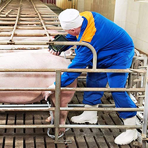 Escáner Portátil De Embarazo Veterinario Con Sonda Convexa De 3,5 Mhz Para Cerdos, Perros, Gatos, Caballos, Cabras, Camellos, Ovejas, Utilizado Para Detección De Embarazo, Inflamación Uterina, Quist