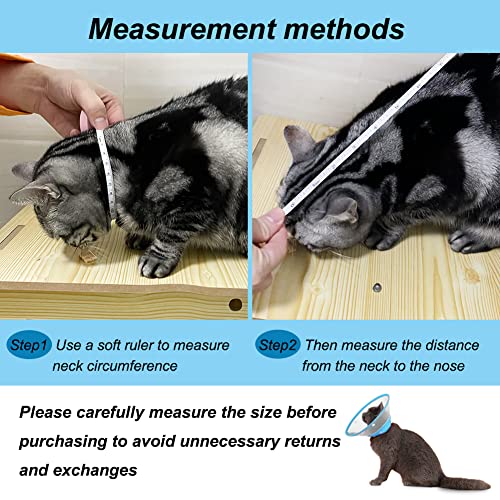 Estimulante membrana para mascotas