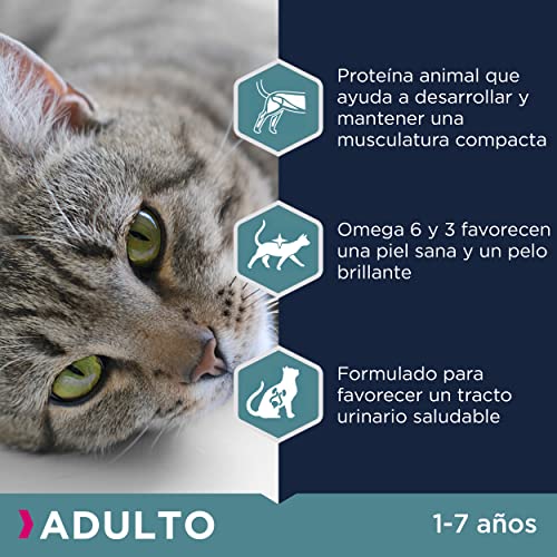 Eukanuba Alimento seco para gatos adultos, rica en pollo fresco, 2 kg