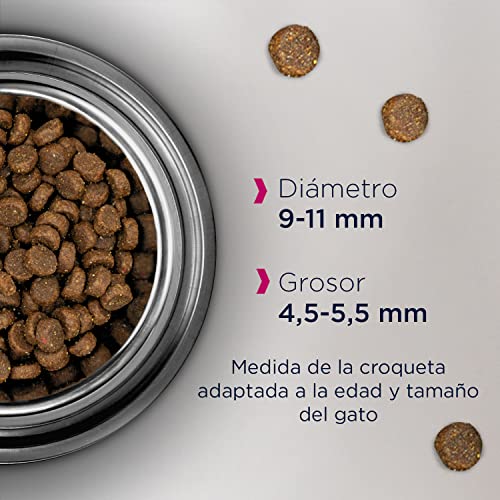 Eukanuba Alimento seco para gatos adultos, rica en pollo fresco, 2 kg