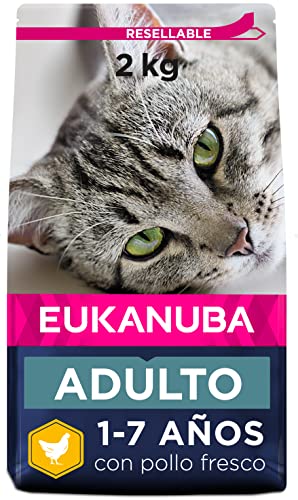 Eukanuba Alimento seco para gatos adultos, rica en pollo fresco, 2 kg