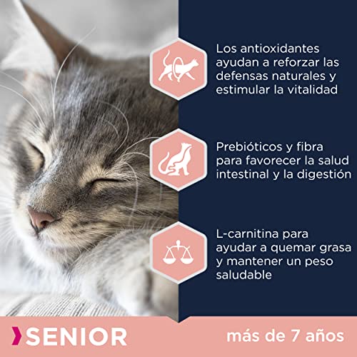 Eukanuba Alimento seco para gatos de edad avanzada, rica en pollo fresco, 2 kg