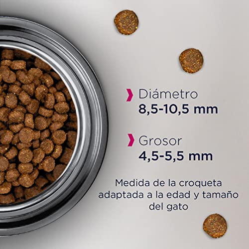 Eukanuba Alimento seco para gatos de edad avanzada, rica en pollo fresco, 2 kg