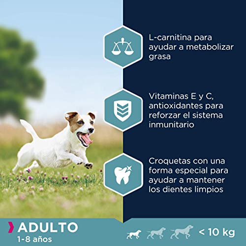 Eukanuba Alimento seco para perros adultos activos de raza pequeña, rico en pollo fresco 15 kg