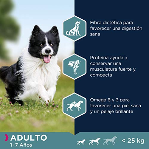 Eukanuba Alimento seco para perros adultos de razas pequeñas y medianas, rico en cordero y arroz, 2,5 kg