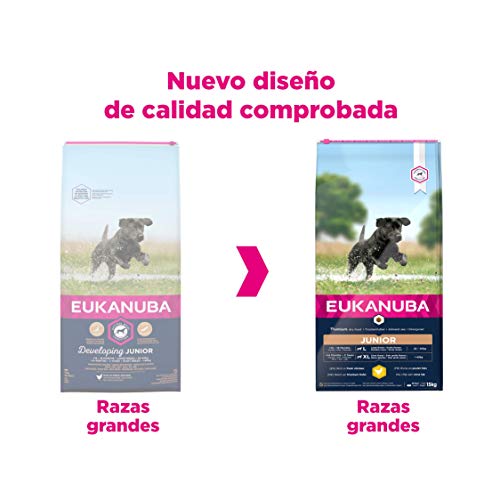 Eukanuba Alimento seco para perros jóvenes de raza grande, rico en pollo fresco 15 kg