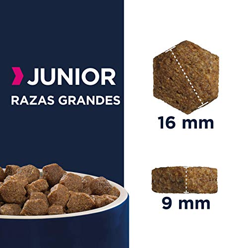 Eukanuba Alimento seco para perros jóvenes de raza grande, rico en pollo fresco 15 kg