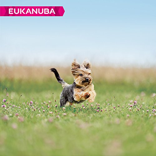 EUKANUBA Raza Miniatura Adulto Activo rico en pollo fresco [2 kg]