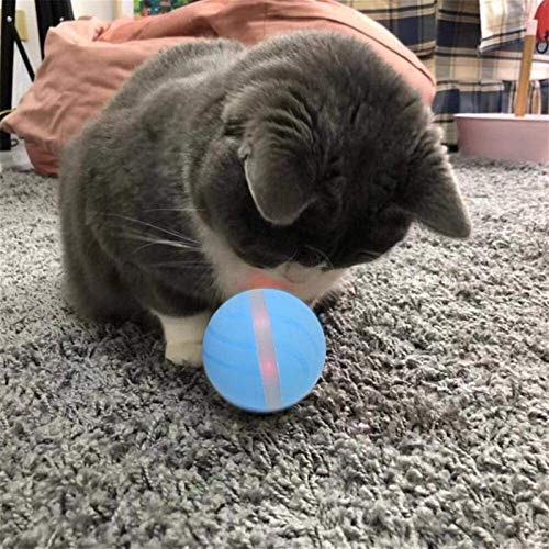 Evil Ball Juguete para Mascotas Gato Inteligente Eléctrico Lavable Juguete Automático Rodante Intermitente Perro Juguete De Agua (Color : Azul)