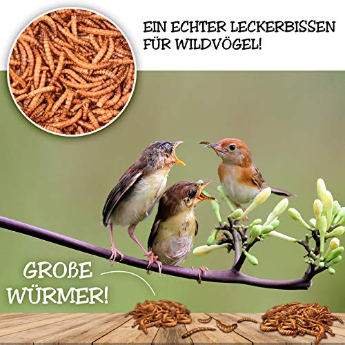 EWL Naturprodukte Gusanos secos de harina, 1 kg = 6500 ml, aperitivo para pájaros, peces, tortugas, roedores y reptiles.