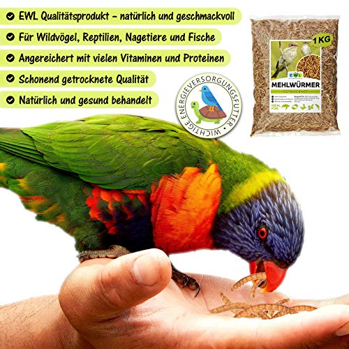 EWL Naturprodukte Gusanos secos de harina, 1 kg = 6500 ml, aperitivo para pájaros, peces, tortugas, roedores y reptiles.