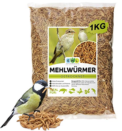 EWL Naturprodukte Gusanos secos de harina, 1 kg = 6500 ml, aperitivo para pájaros, peces, tortugas, roedores y reptiles.