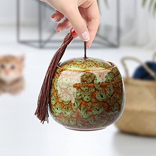 Exnemel - urnas pequeñas para Cenizas humanas, Mini urnas para Cenizas para Adultos urnas para Mascotas, Perros, Gatos, Cenizas, urnas funerarias para Cenizas de Recuerdo (Azul)