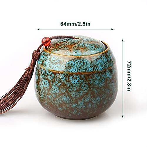 Exnemel - urnas pequeñas para Cenizas humanas, Mini urnas para Cenizas para Adultos urnas para Mascotas, Perros, Gatos, Cenizas, urnas funerarias para Cenizas de Recuerdo (Azul)