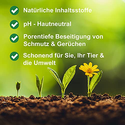 Exner Bio Eliminador de olores y manchas – Con microorganismos contra manchas y olores – para mascotas, hogar y coche 100% natural y suave – Botella pulverizadora de 500 ml