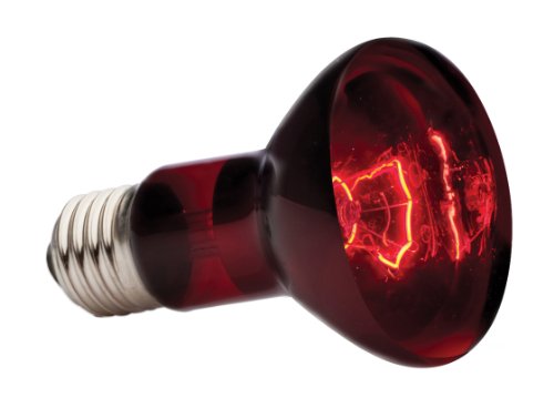 EXO TERRA Infra-Rojo Nocturno Heat GLO, 75 W
