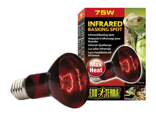 EXO TERRA Infra-Rojo Nocturno Heat GLO, 75 W