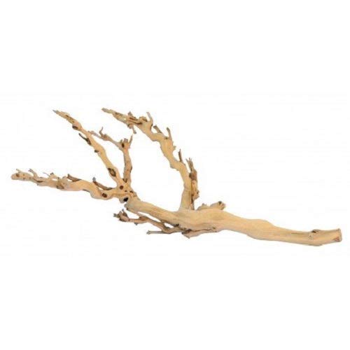 EXO TERRA Planta con Base Forest Branch Mediana, 45 cm