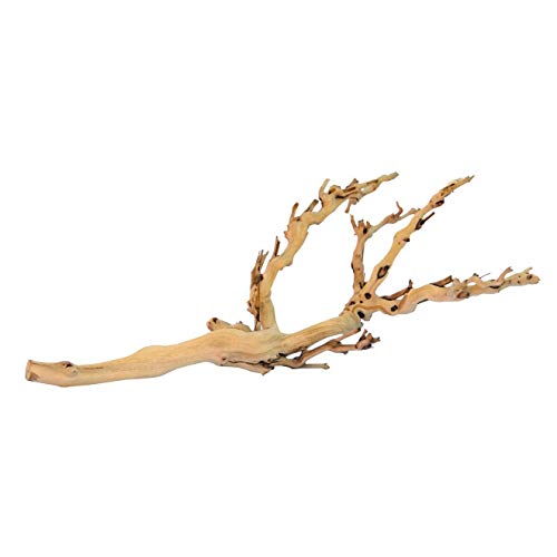 EXO TERRA Planta con Base Forest Branch Mediana, 45 cm