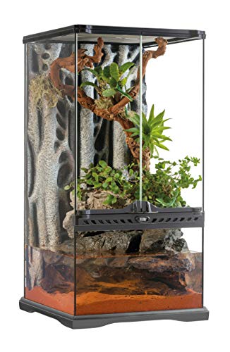 Exo Terra Pt2595 - Terrario (30 x 30 x 60 cm)