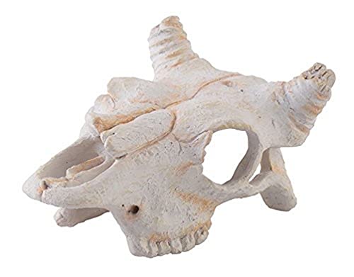 EXO TERRA Refugio Fósil Dino Bufalo