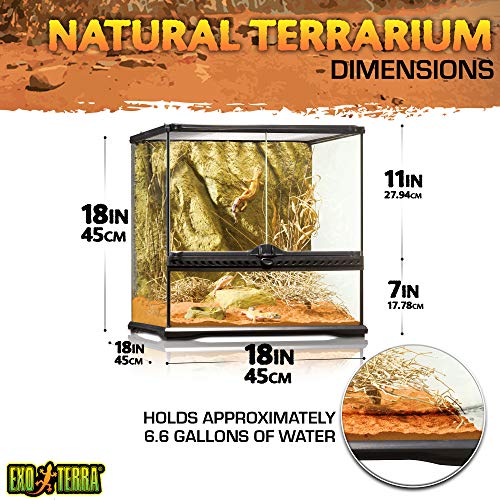 EXO TERRA Terrario Pequeño Wide de 90 L, 45 x 45 x 45 cm