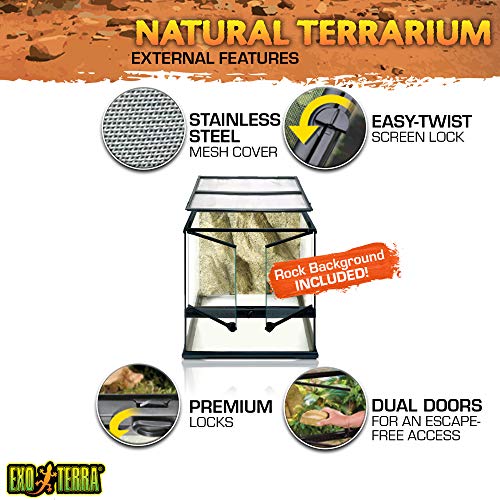 EXO TERRA Terrario Pequeño Wide de 90 L, 45 x 45 x 45 cm