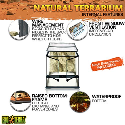 EXO TERRA Terrario Pequeño Wide de 90 L, 45 x 45 x 45 cm