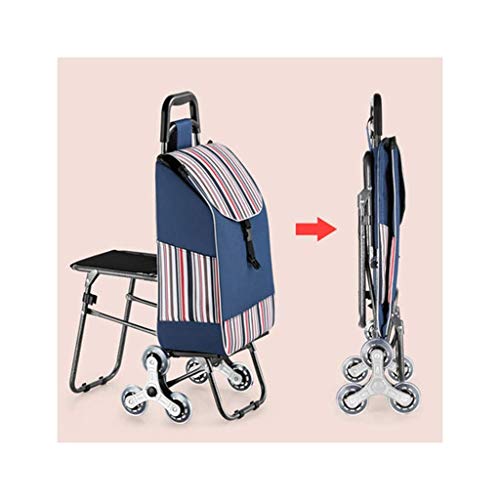 FACAZ Carrito de la Compra Carrito de la Compra Ruedas Carrito de la Compra para Mujer Carrito de la Compra del hogar Carrito de la Compra Carrito portátil Carrito de la Compra Plegable (Color: 4)