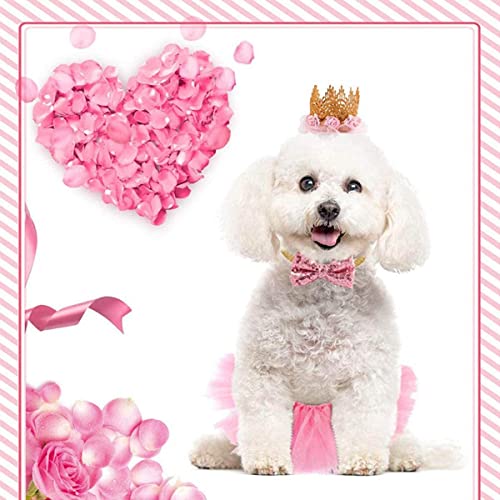 Falda de tutú para Perro,Vestido de Novia Perro con pajarita y sombrero de corona,3 Pieza Vestido de Perro Para Mascotas set para Cachorros Pequeños y Medianos