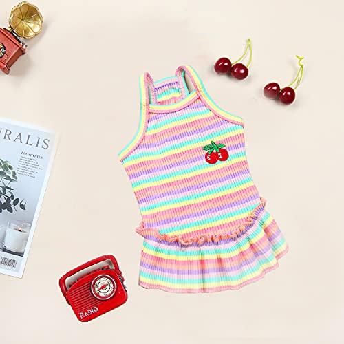 Falda para Perro, Falda de Camisa a Rayas para Mascotas YAODHAOD, Vestido Plisado con Camisola con Estampado de Cerezas, Vestido de Princesa de Verano con Volantes (Rosa, Medium)