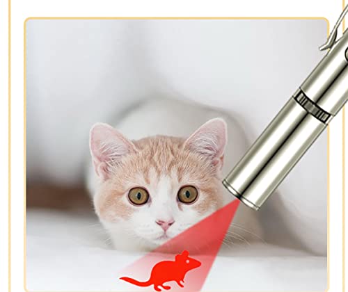Famkrw Chaser - Puntero LED para gatos y perros, juego de captura interactivo con puntero luminoso con USB recargable, mini juguete portátil para gatos con 5 motivos (luz roja)