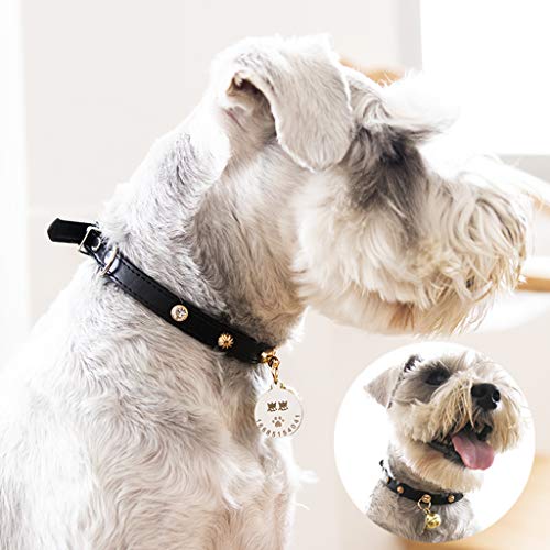 FAPROL Collar para Perro con Placa De Identificación Collares De Cuero Personalizados para Mascotas Yellow XXL