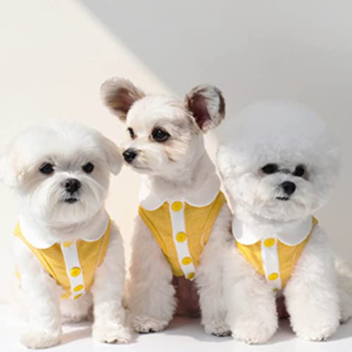 farfi Ropa de punto para cachorros, camisa para mascotas, diseño de cáscara de huevo, transpirable, de moda, chaleco para perros de mascotas, disfraz de verano adorable para verano