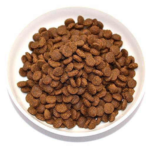 Farmina - Farmina N&D Calabaza y Pato Cat Grain Free - 2352-300 Grs.