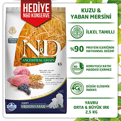 Farmina - Farmina N&D Cordero y Arandano Puppy Medium-Maxi Low Grain - 2191-2,5 kg