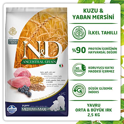 Farmina - Farmina N&D Cordero y Arandano Puppy Medium-Maxi Low Grain - 2191-2,5 kg
