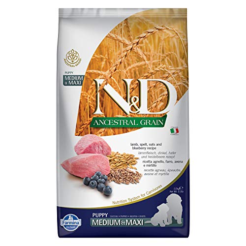 Farmina - Farmina N&D Cordero y Arandano Puppy Medium-Maxi Low Grain - 2191-2,5 kg