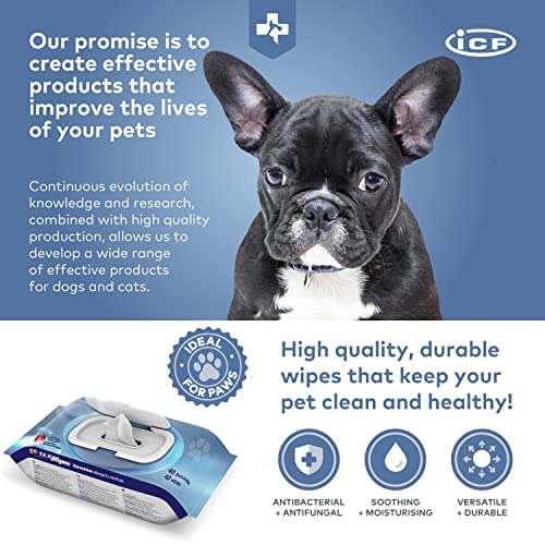 FATRO Clx Wipes 40Toallitas 200 g