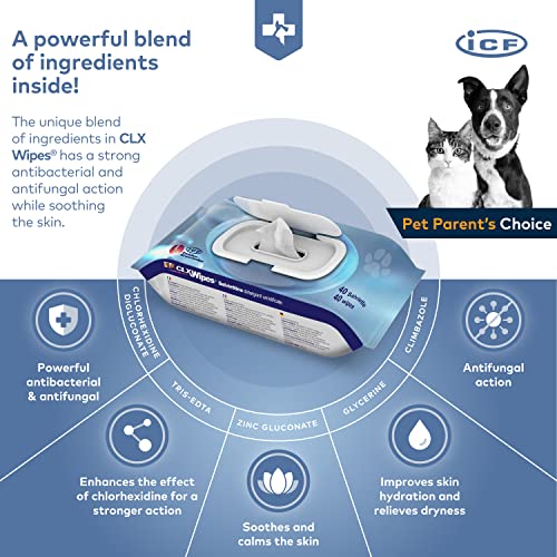 FATRO Clx Wipes 40Toallitas 200 g