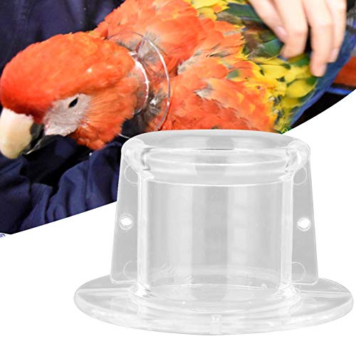 Fdit Collar de Cuello de Loro Conos de recuperación de Aves Escudo Protector de Plumas de Aves para pájaros(M)